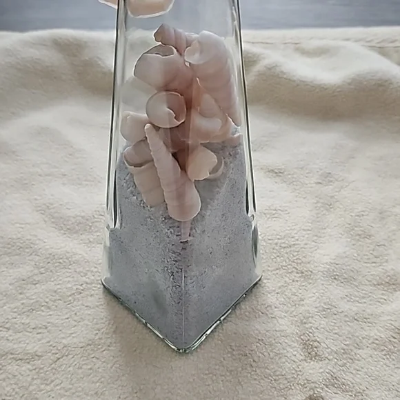 Colour Sand With Shells - Picture 2 of 2